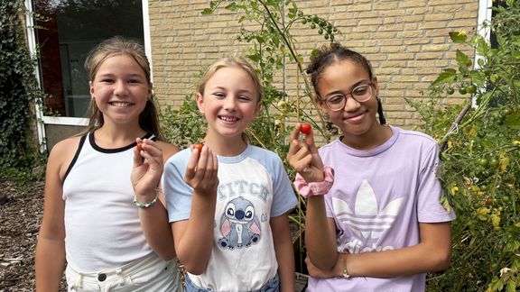 Projektwoche 2025: Viele Projekte zum Thema Biodiversität Projektwoche 2025: Viele Projekte zum Thema Biodiversität